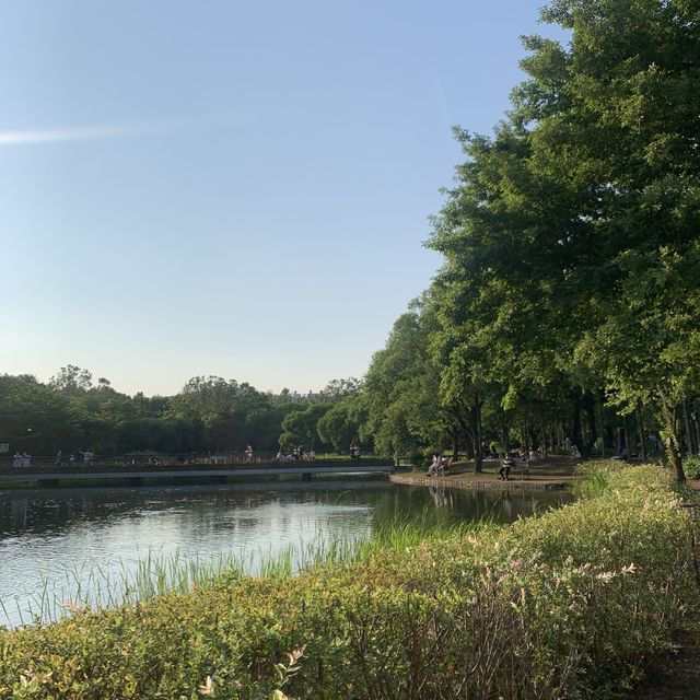 서울 포레스트 