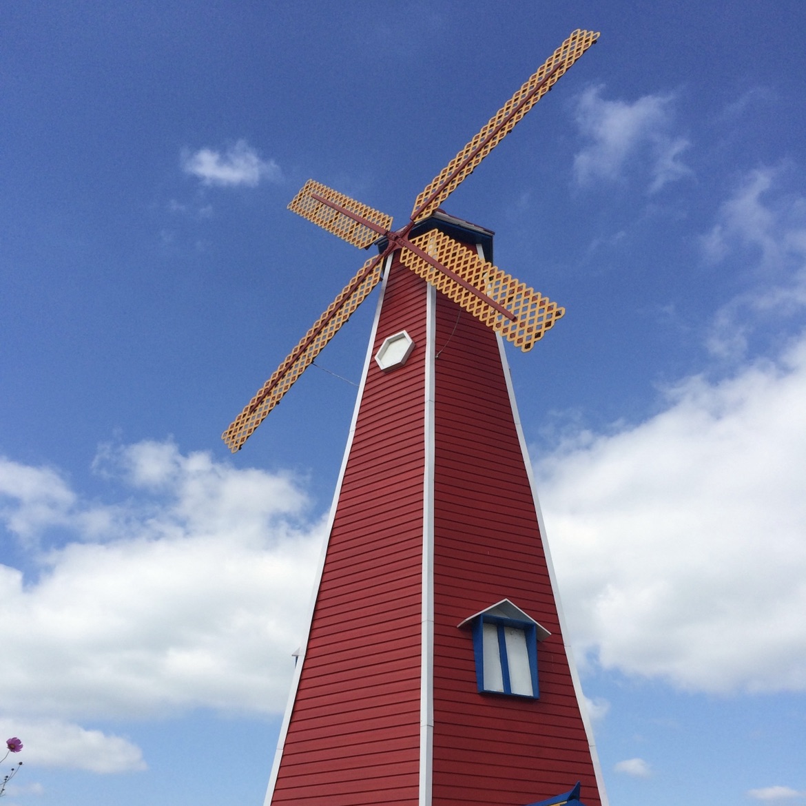 韓國隱世荷蘭風車園 Trip Com 仁川trip Moments 貼文