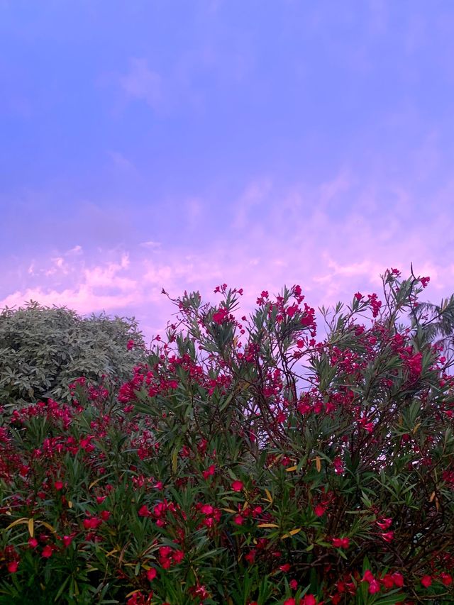 Melbourne's sky