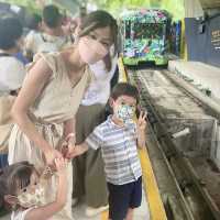 歡送第五代山頂纜車