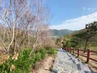 大澳虎山睇海豚，東涌staycation