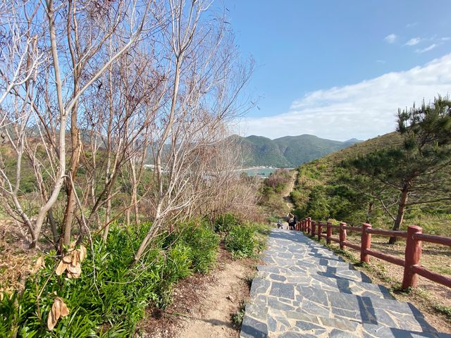 大澳虎山睇海豚，東涌staycation