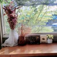 คาเฟ่บรรยากาศ​ร่มรื่น