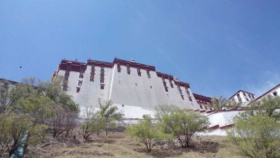 因为红顶白墙是藏族建筑的一大特色，所以成片的藏族建筑远远的望