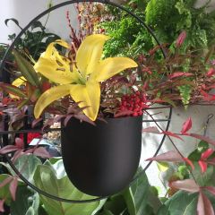 XIAO GUAN YUAN User Photo