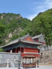 The top of the temple