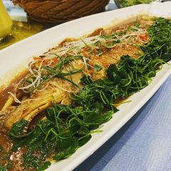 緣和天目湖張用戶圖片