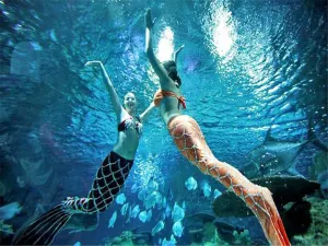 Xuzhou Underwater World