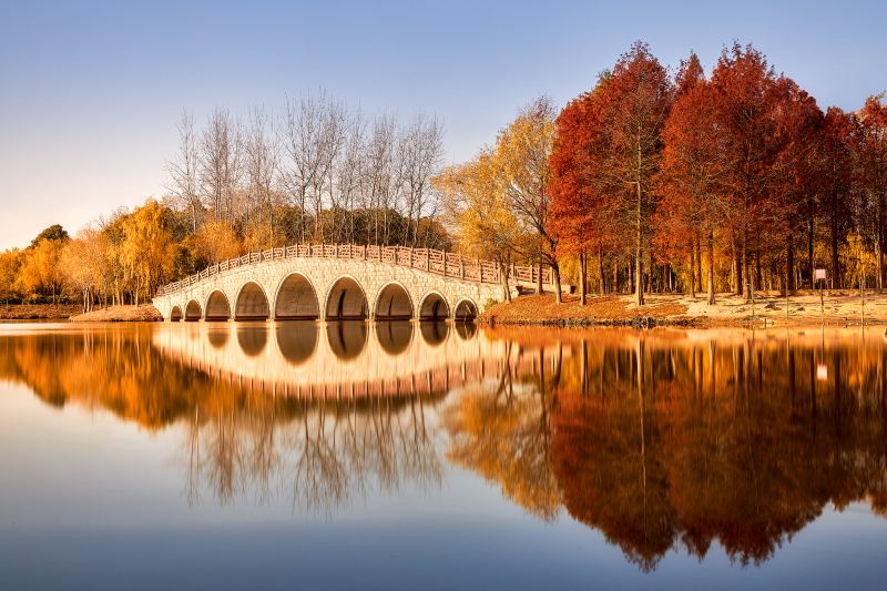 Pudong Jinhai Wetland Park