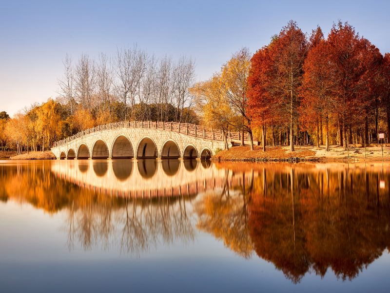 Pudong Jinhai Wetland Park