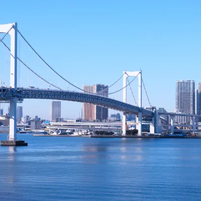 フライワンS.R.Lの東京行き航空券