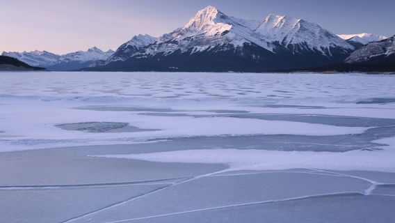 Abraham Lake