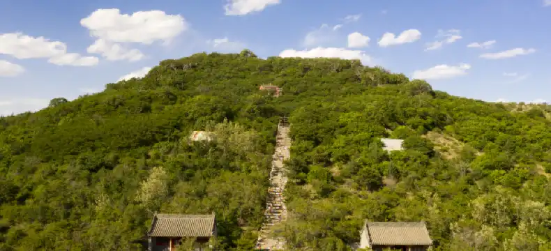 Hotels in Zhangwu