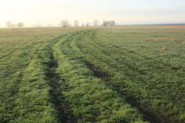 Stavropol