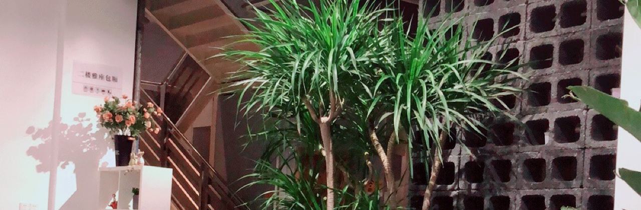 茶仙坊中西餐厅(国庆北路店)