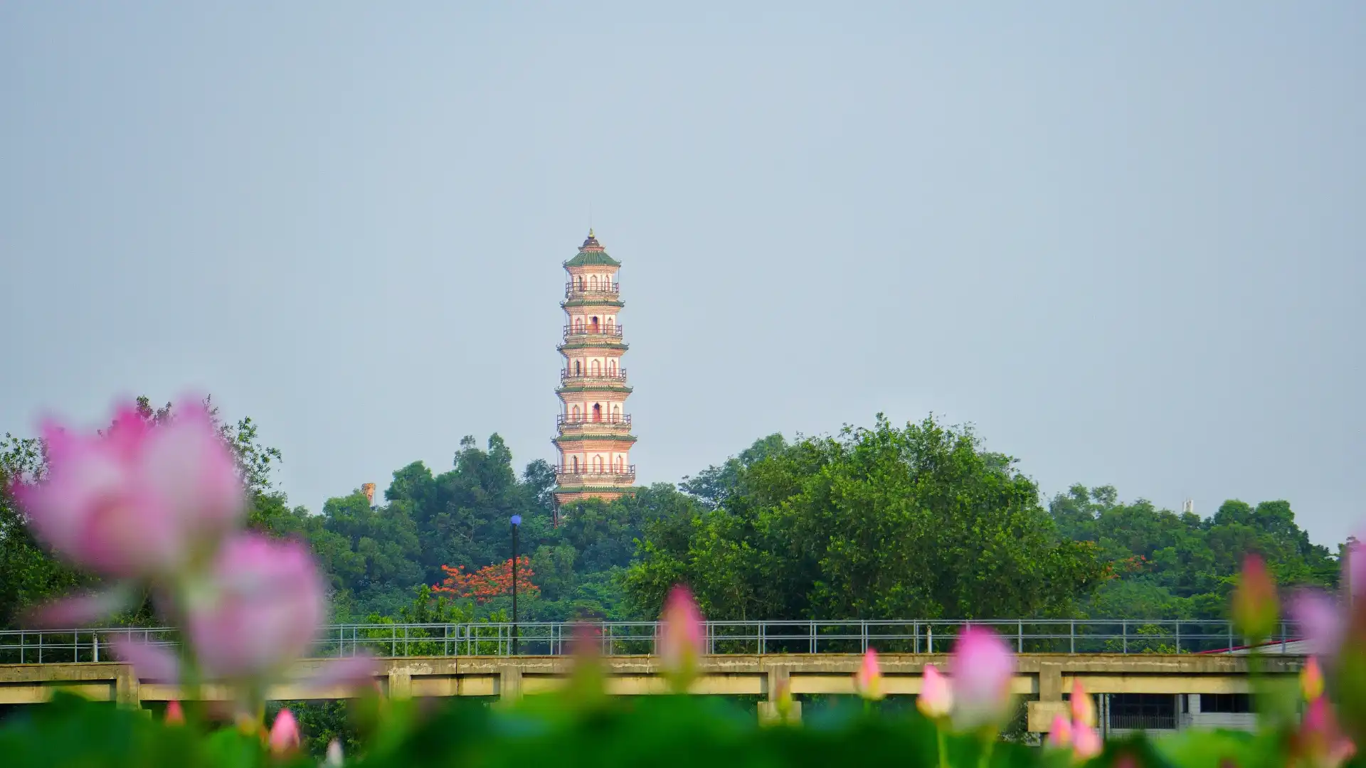 Hotels near Linggui Tower