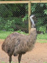 Cooberrie Park