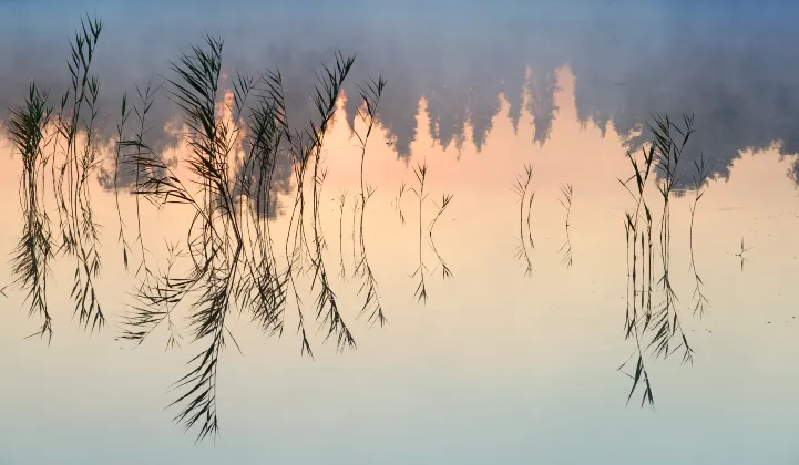 Отели с услугой Завтрак в г. Гилфорд