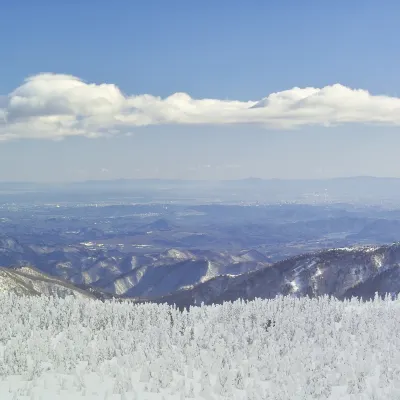 Yamagata to Gold Coast Flights