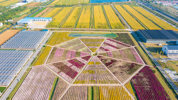 Hexiang Juhai Scenic Area