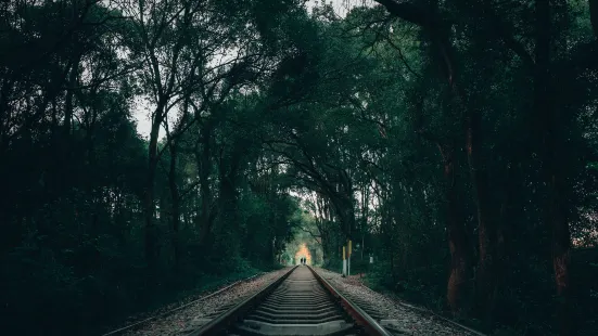 Shaoguan Time Tunnel