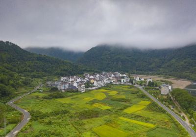 淡竹原始森林風景區