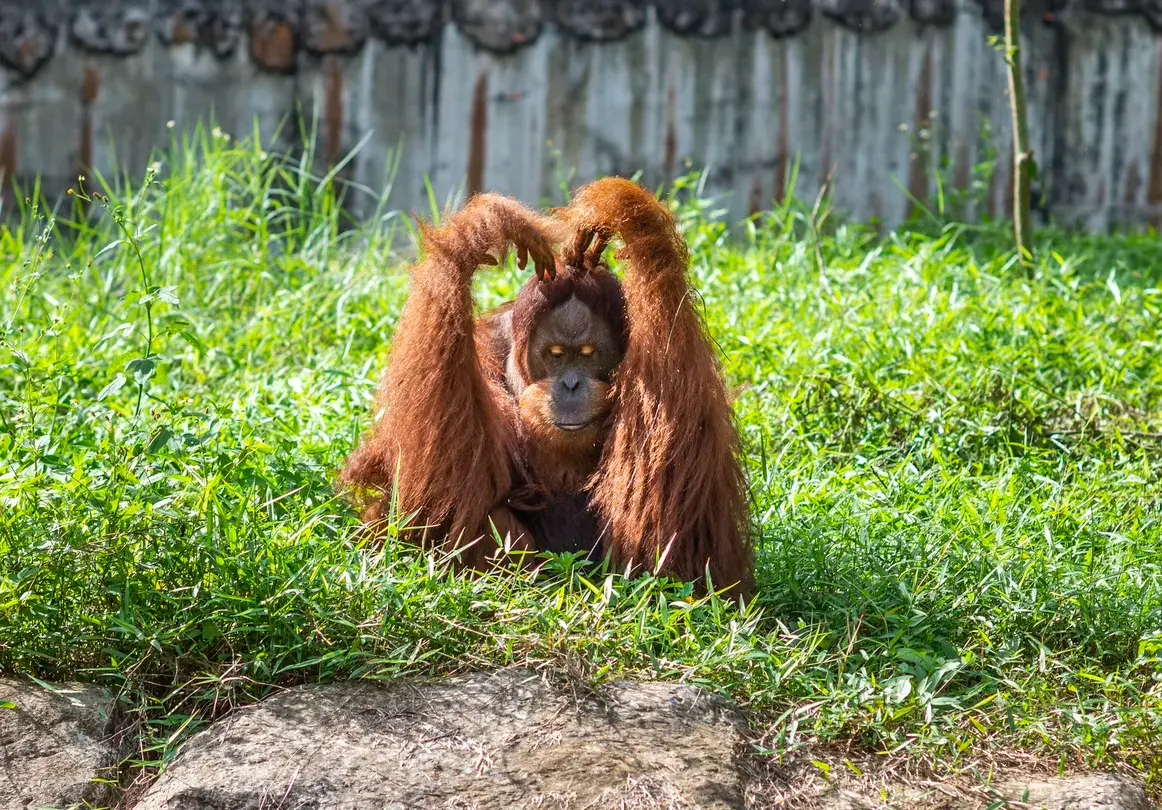 3_富國島珍珠野生動物園