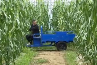 THE HOUSE OF RONG User Photo