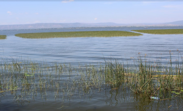 Lake Awasa