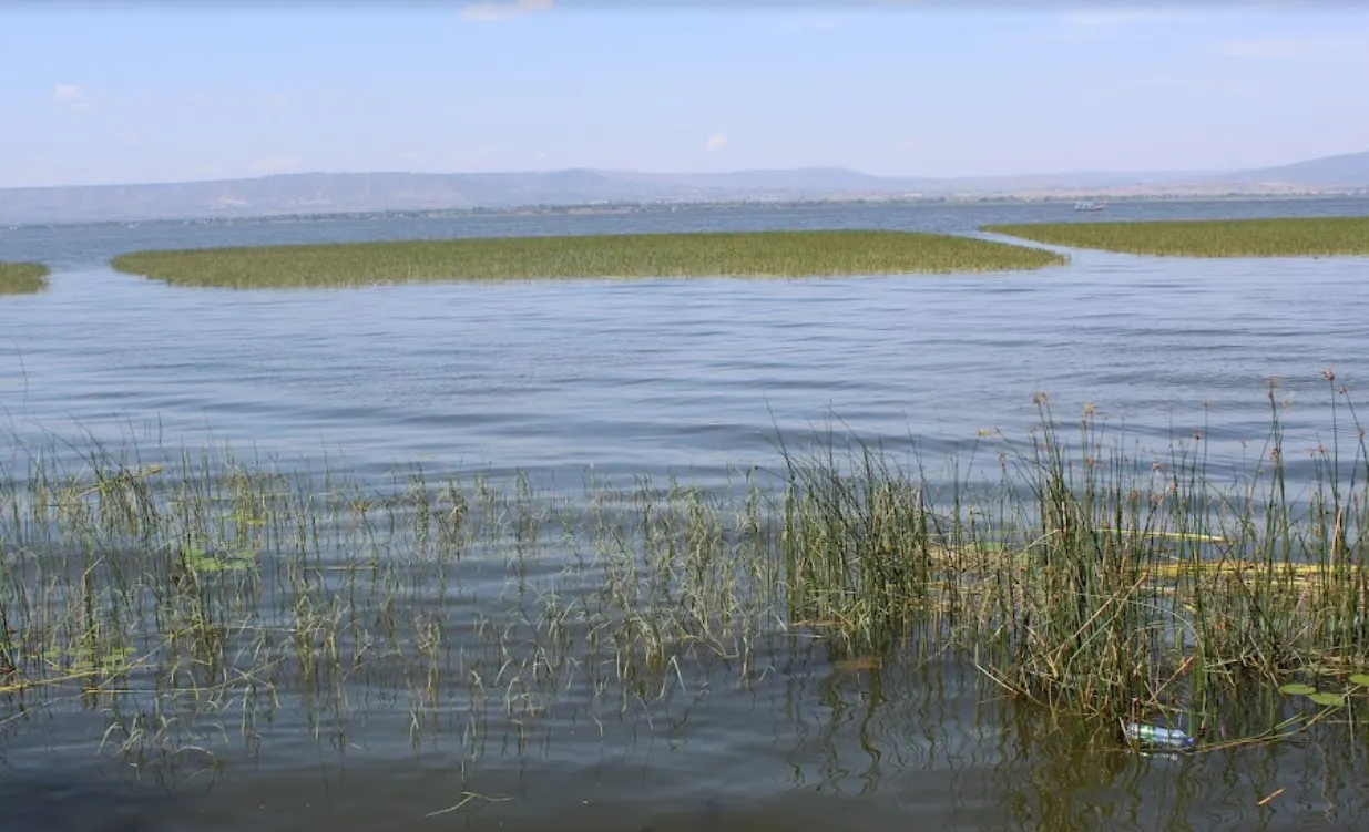 Lake Awasa