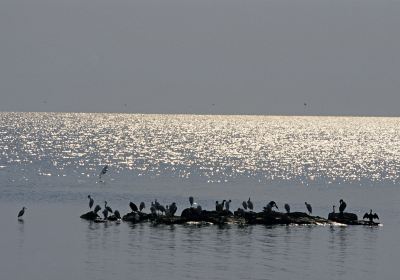 Rubondo Island National Park