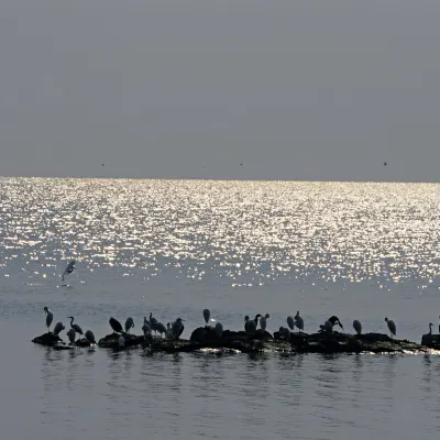 3-Star-Hotels in Pangani