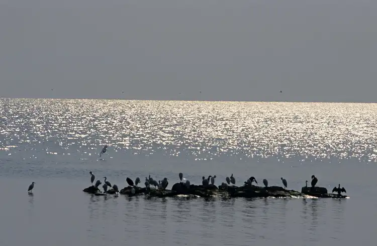 Hotels in der Nähe von Rubondo Island National Park