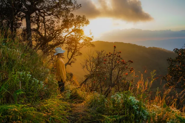 ป่าสองฤดู