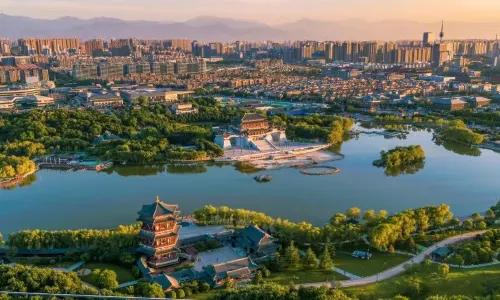 Tang Paradise