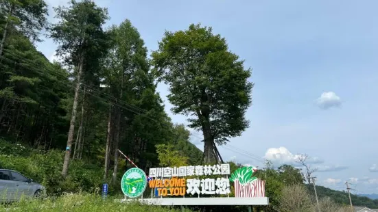 四川空山國家森林公園