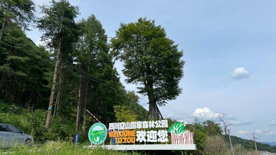 Sichuan Kongshan National Forest Park