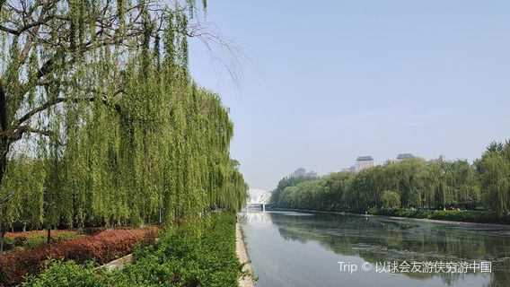 Qingyihe Thousand Acres Garden