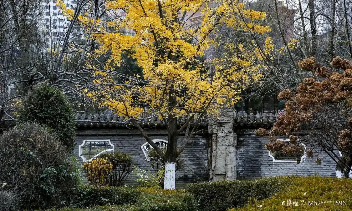 Hotel dekat Xiaohuashan Park (Northeast Gate)