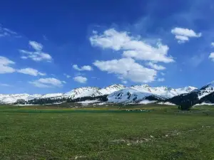 伊犁河谷國家濕地公園