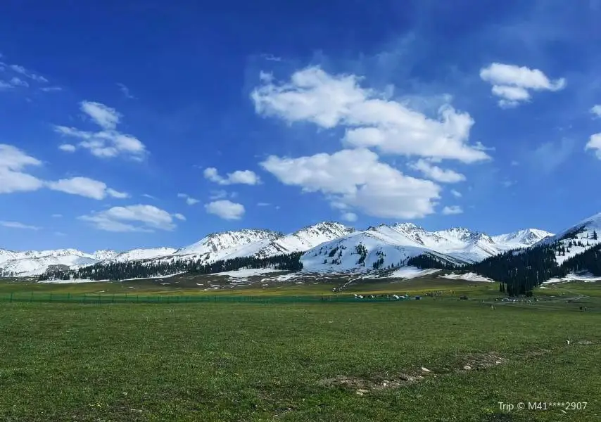 伊犁河谷國家濕地公園