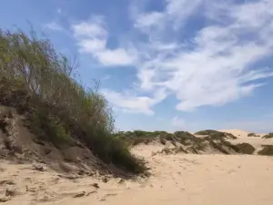 科爾沁潮海沙漠景區