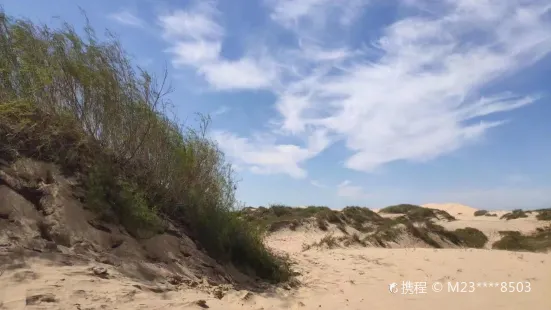 科爾沁潮海沙漠景區