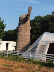 小森Glamping （寧海藍灣營地）