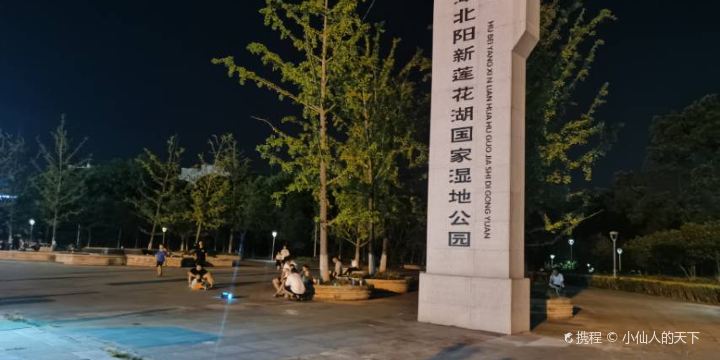 Hubei Yangxin Lianhua Lake National Wetland Park