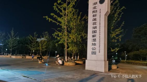 Hubei Yangxin Lianhua Lake National Wetland Park