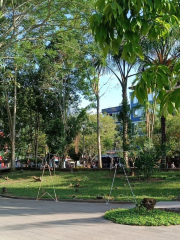 Parque Central de El Coca