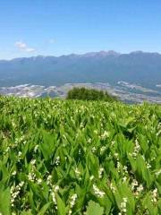 入笠すずらん山野草公園