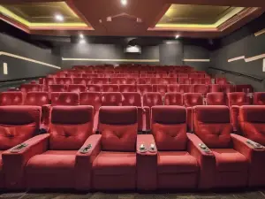 Suncity Cinemas Bulandshahar