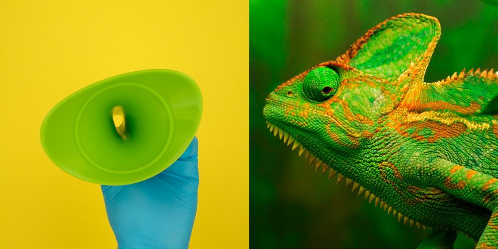 Juan Ortiz-Apuy: Tropicana | Calgary